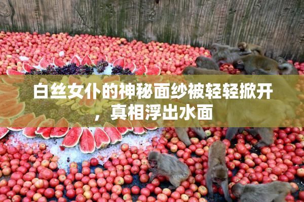 白丝女仆的神秘面纱被轻轻掀开，真相浮出水面