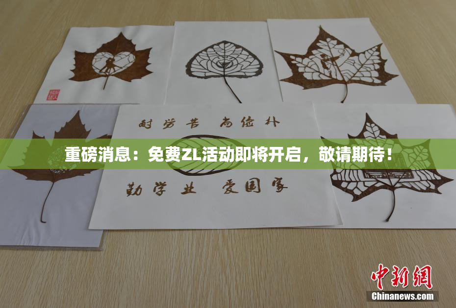 重磅消息：免费ZL活动即将开启，敬请期待！