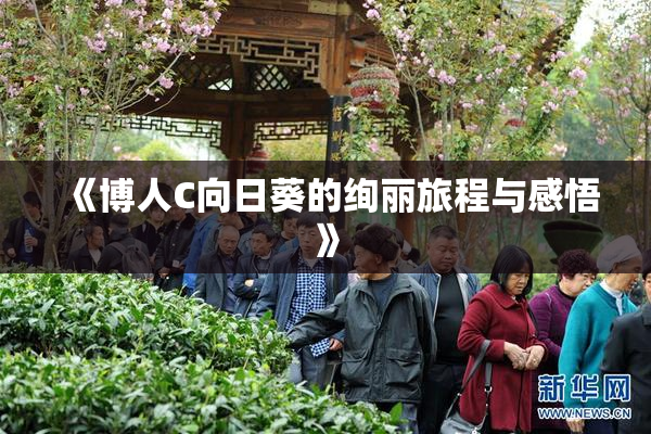 《博人C向日葵的绚丽旅程与感悟》