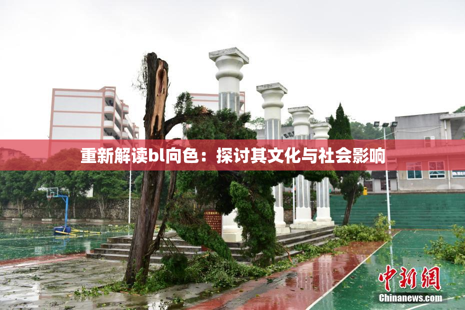 重新解读bl向色：探讨其文化与社会影响