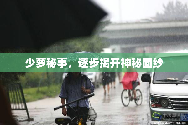 少萝秘事，逐步揭开神秘面纱