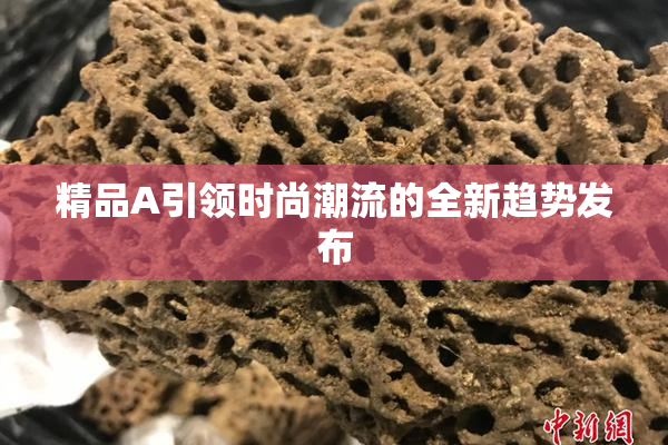 精品A引领时尚潮流的全新趋势发布