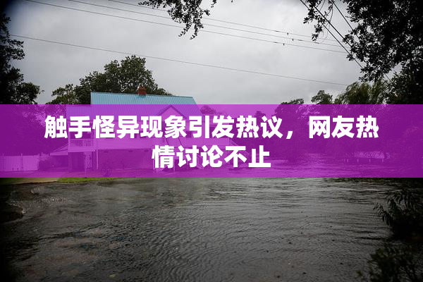 触手怪异现象引发热议，网友热情讨论不止