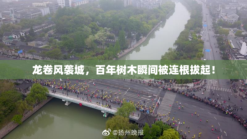 龙卷风袭城，百年树木瞬间被连根拔起！