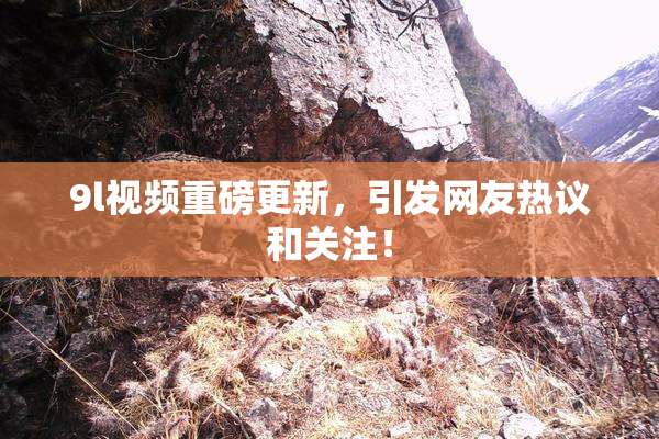 9l视频重磅更新，引发网友热议和关注！
