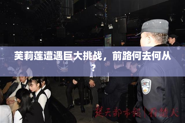 芙莉莲遭遇巨大挑战，前路何去何从？