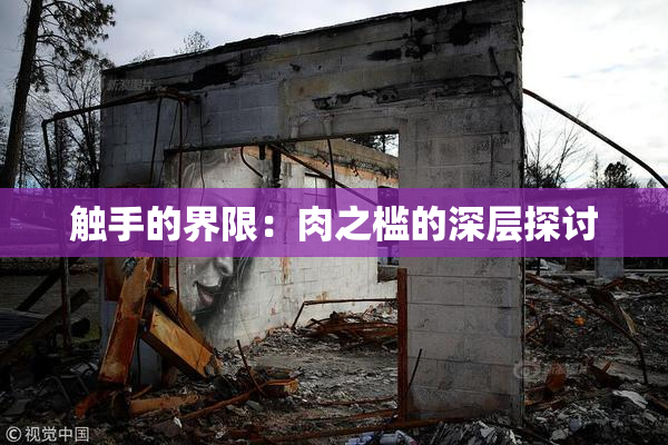 触手的界限：肉之槛的深层探讨