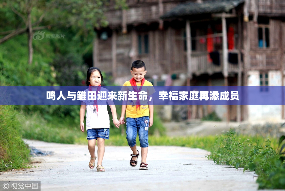鸣人与雏田迎来新生命，幸福家庭再添成员