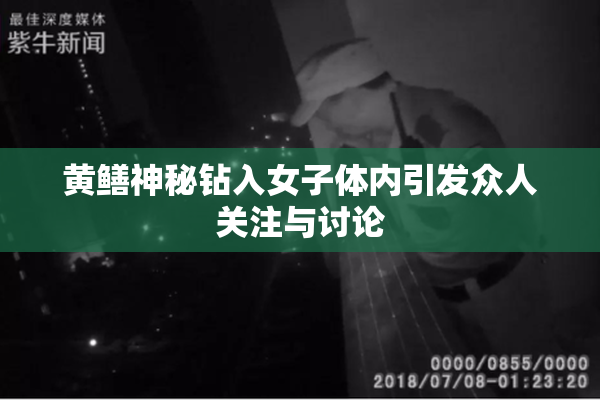 黄鳝神秘钻入女子体内引发众人关注与讨论