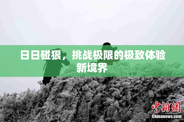 日日碰狠，挑战极限的极致体验新境界