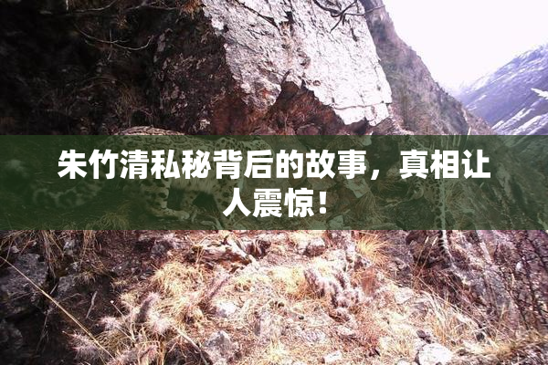 朱竹清私秘背后的故事，真相让人震惊！