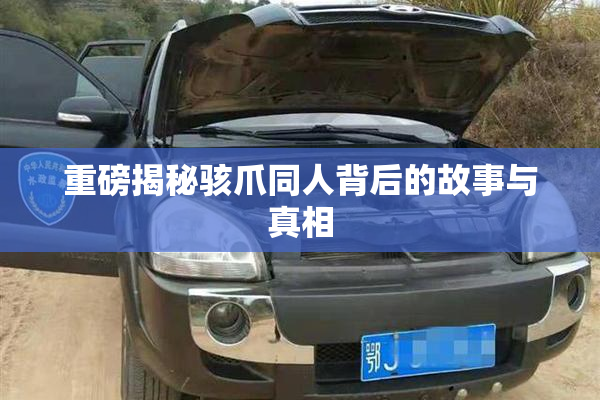 重磅揭秘骇爪同人背后的故事与真相