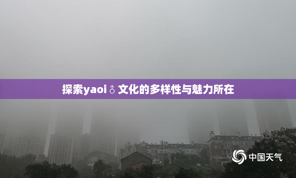 探索yaoi♂文化的多样性与魅力所在