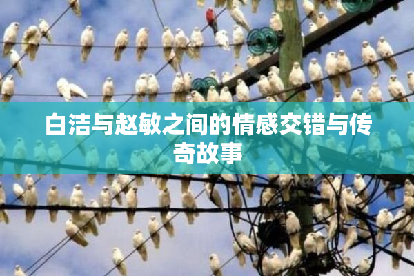 白洁与赵敏之间的情感交错与传奇故事