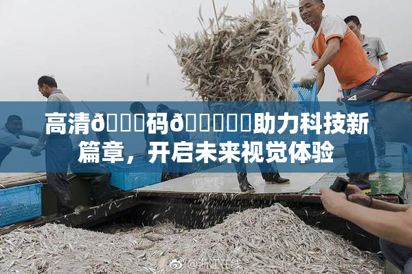 高清🈚码🔞❌‌助力科技新篇章，开启未来视觉体验