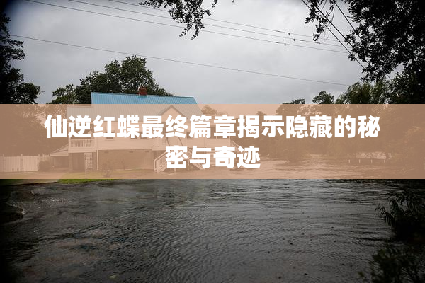 仙逆红蝶最终篇章揭示隐藏的秘密与奇迹