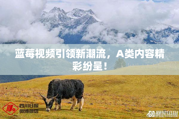蓝莓视频引领新潮流，A类内容精彩纷呈！