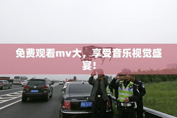 免费观看mv大，享受音乐视觉盛宴！