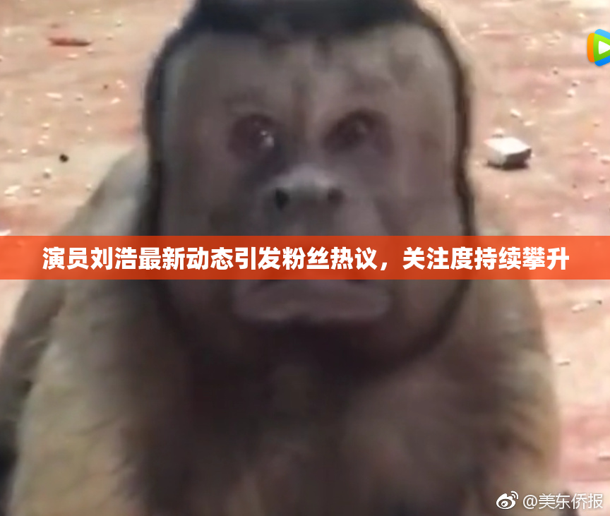 演员刘浩最新动态引发粉丝热议，关注度持续攀升
