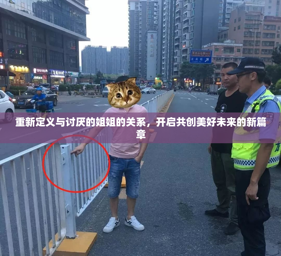 重新定义与讨厌的姐姐的关系，开启共创美好未来的新篇章