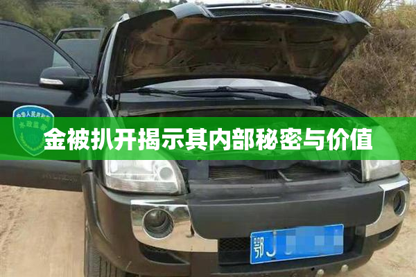 金被扒开揭示其内部秘密与价值