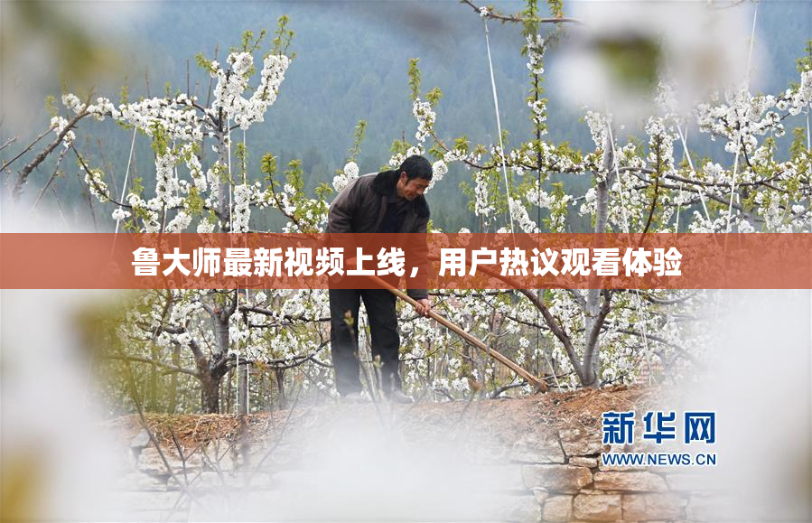 鲁大师最新视频上线，用户热议观看体验