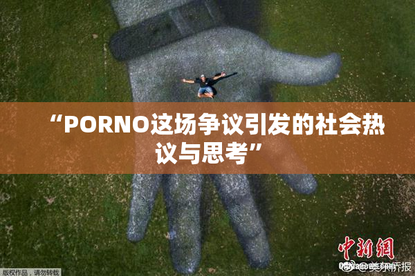 “PORNO这场争议引发的社会热议与思考”
