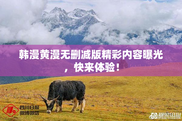 韩漫黄漫无删减版精彩内容曝光，快来体验！