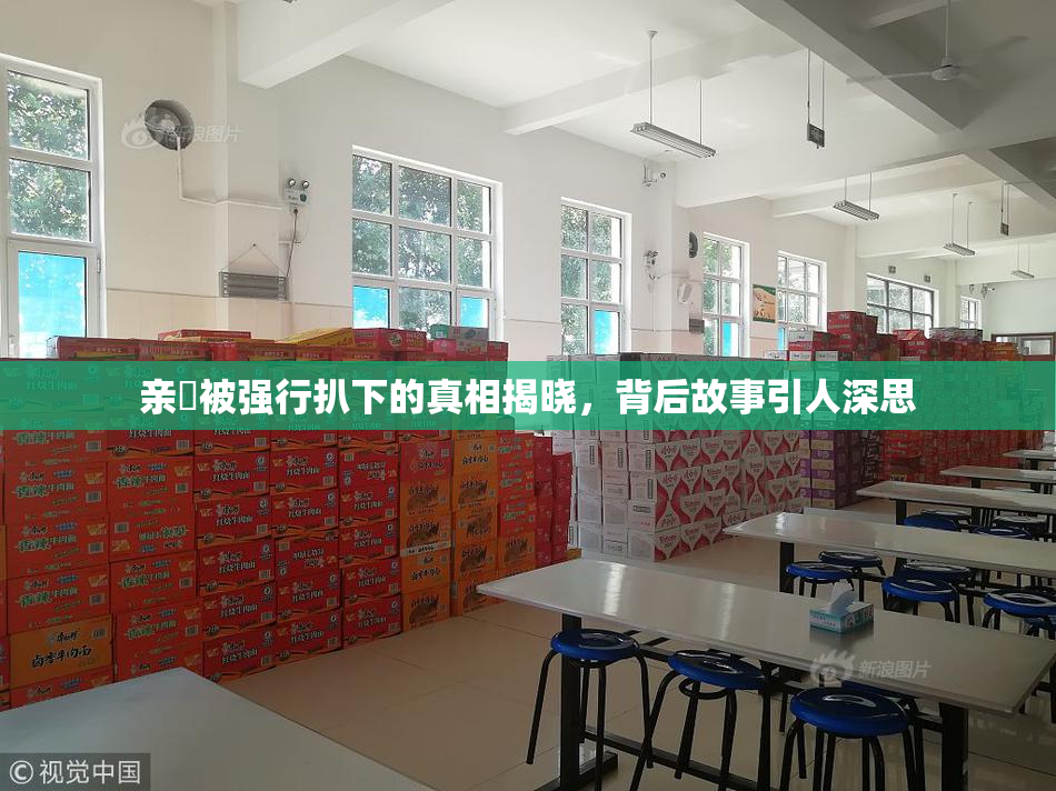 亲妺被强行扒下的真相揭晓，背后故事引人深思