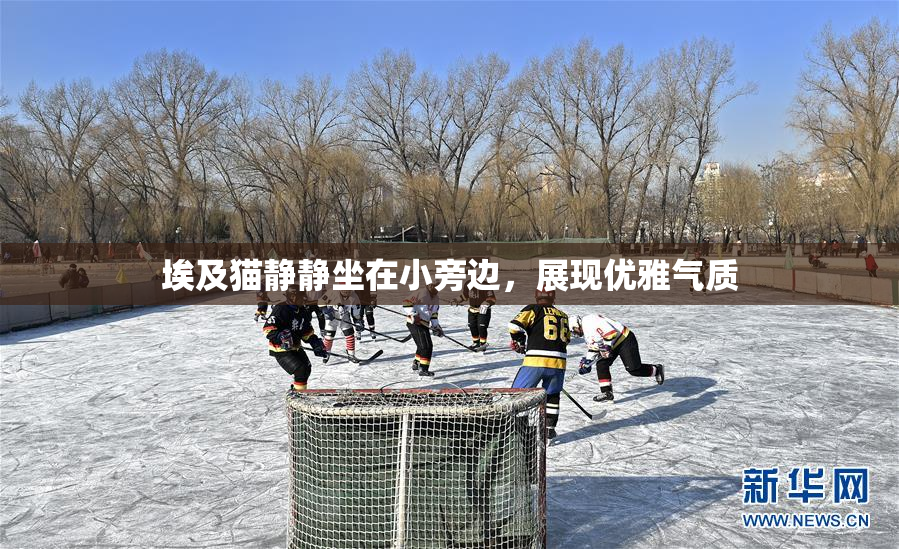 埃及猫静静坐在小旁边，展现优雅气质