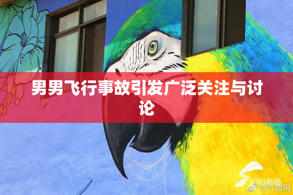 男男飞行事故引发广泛关注与讨论