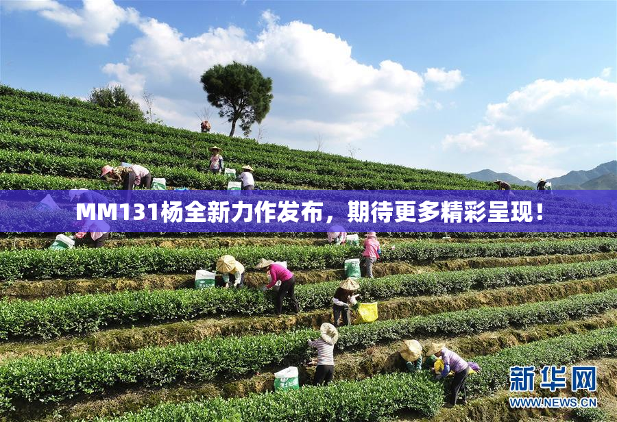 MM131杨全新力作发布，期待更多精彩呈现！