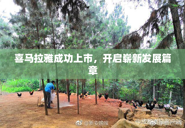 喜马拉雅成功上市，开启崭新发展篇章