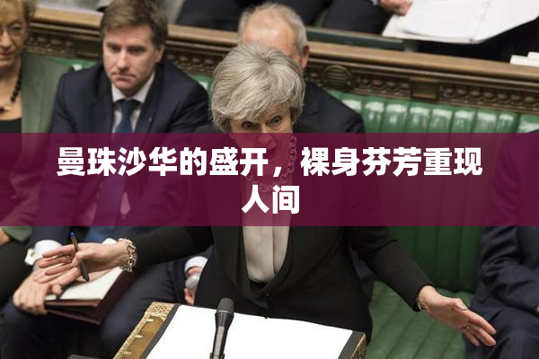 曼珠沙华的盛开，裸身芬芳重现人间