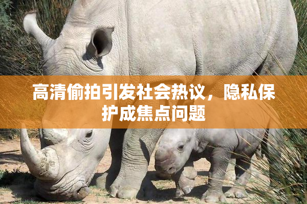 高清偷拍引发社会热议，隐私保护成焦点问题