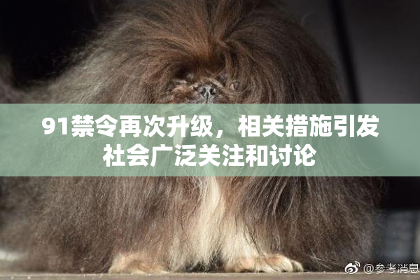 91禁令再次升级，相关措施引发社会广泛关注和讨论