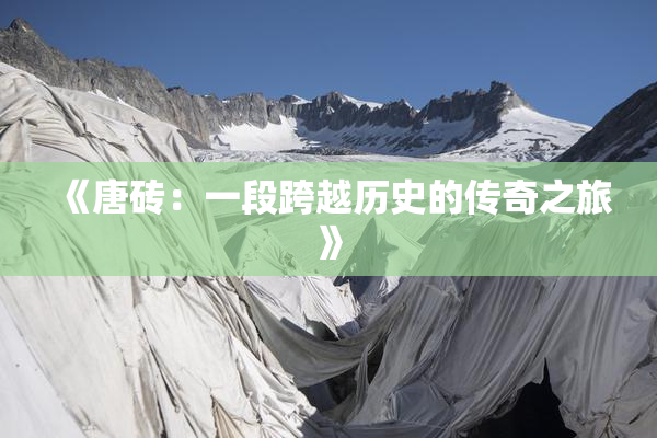《唐砖：一段跨越历史的传奇之旅》