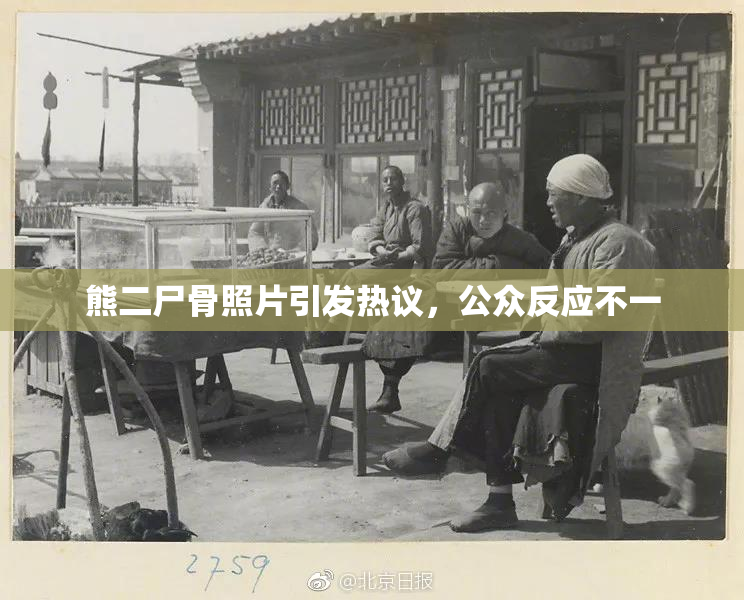 熊二尸骨照片引发热议，公众反应不一