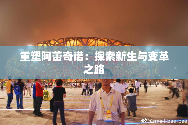 重塑阿蕾奇诺：探索新生与变革之路