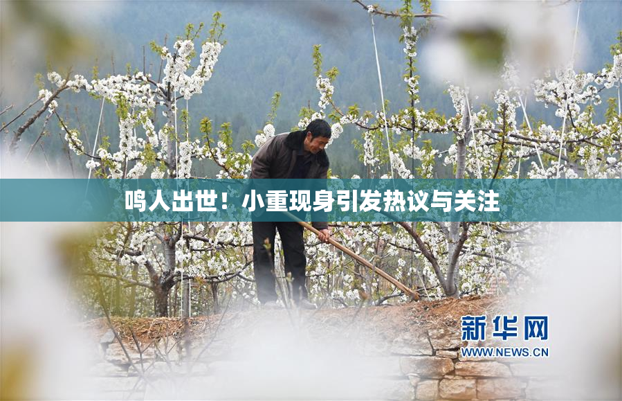 鸣人出世！小重现身引发热议与关注