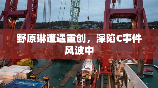 野原琳遭遇重创，深陷C事件风波中