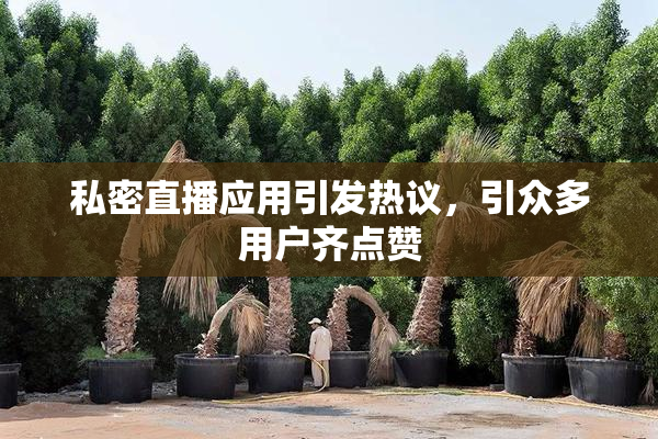 私密直播应用引发热议，引众多用户齐点赞