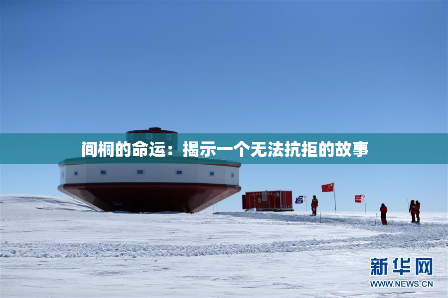 间桐的命运：揭示一个无法抗拒的故事