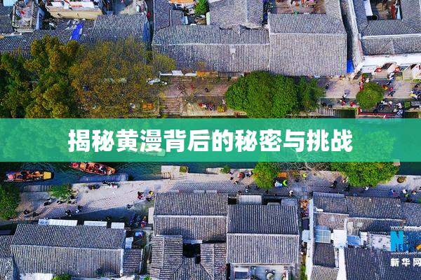 揭秘黄漫背后的秘密与挑战