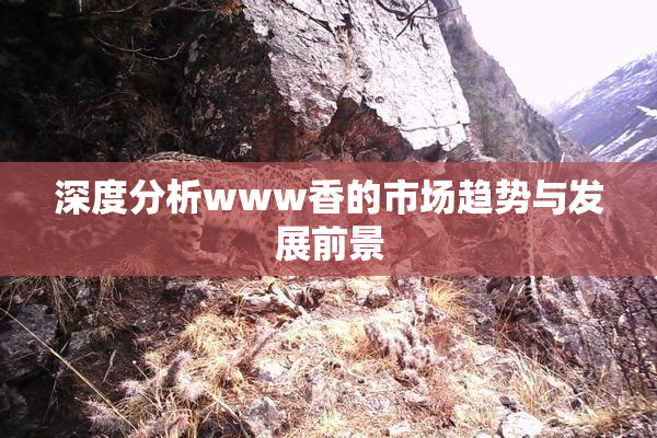 深度分析www香的市场趋势与发展前景