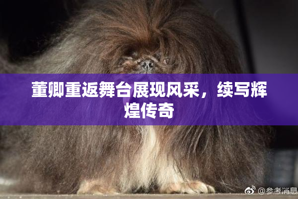 董卿重返舞台展现风采，续写辉煌传奇