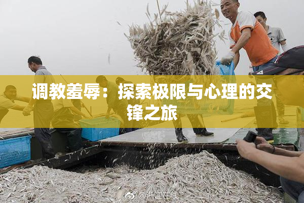 调教羞辱：探索极限与心理的交锋之旅