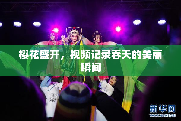 樱花盛开，视频记录春天的美丽瞬间
