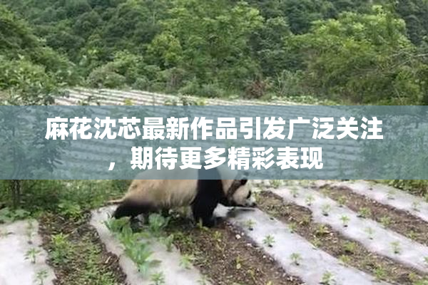 麻花沈芯最新作品引发广泛关注，期待更多精彩表现
