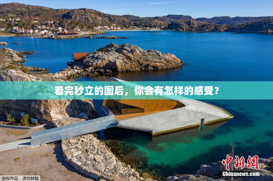 看完秒立的图后，你会有怎样的感受？